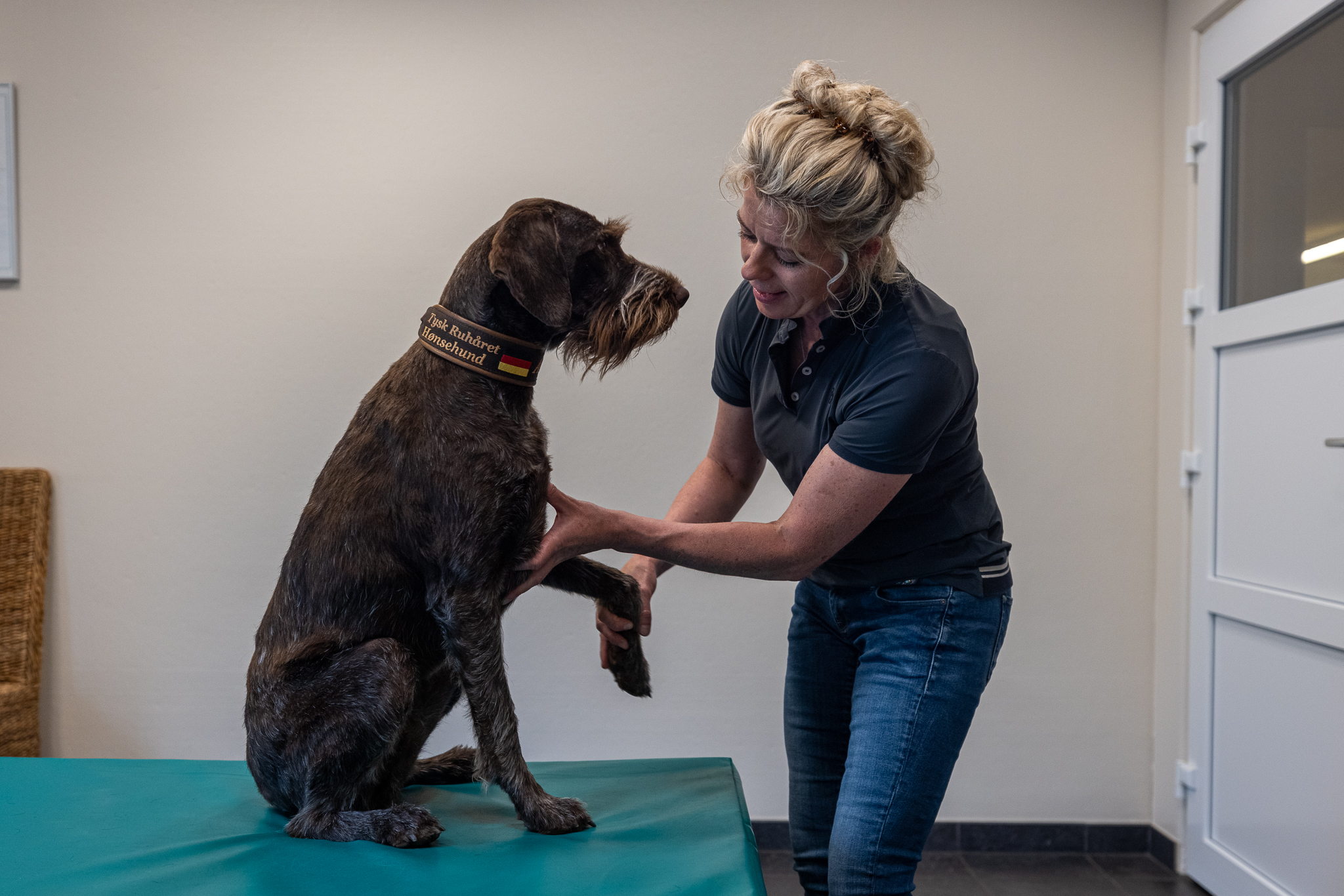 Maja Guldborg treating a dog