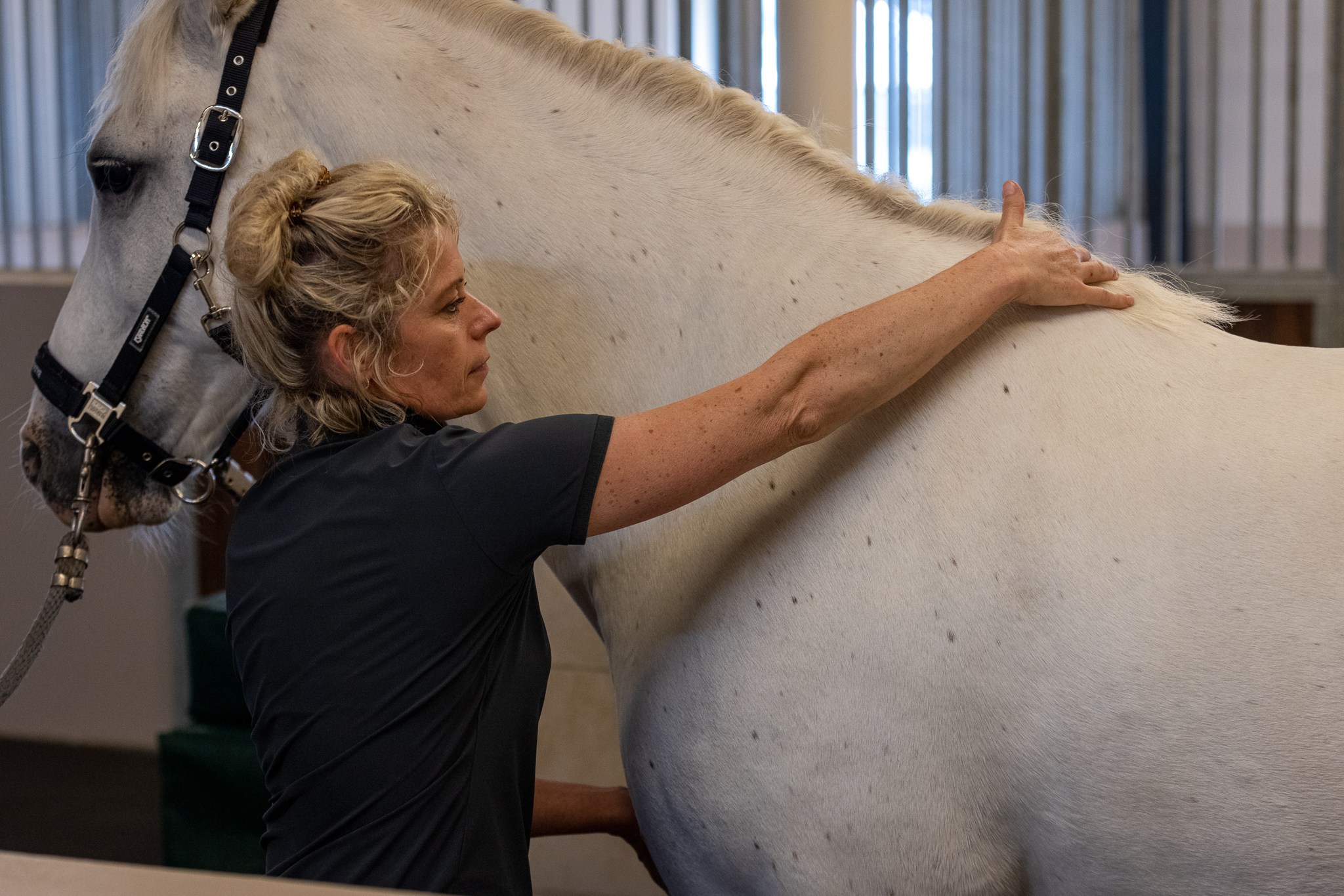 Maja Guldborg treating a horse